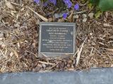 image of grave number 814802